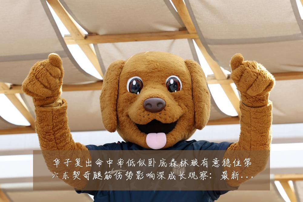 华子复出命中率低似卧底森林狼有意稳住第六东契奇腿筋伤势影响深成长观察：最新赛事动态与深度分析